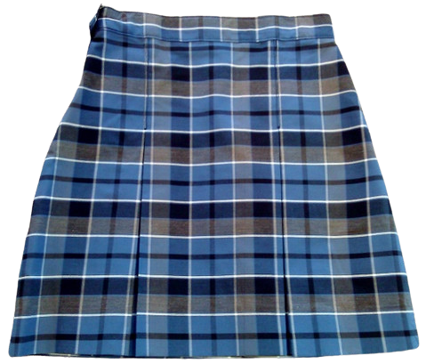 Two Kick Pleat Skirt
Plaid 59